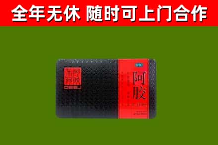 青州回收阿胶